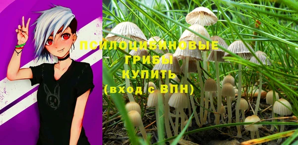 PSILOCYBIN Верхнеуральск