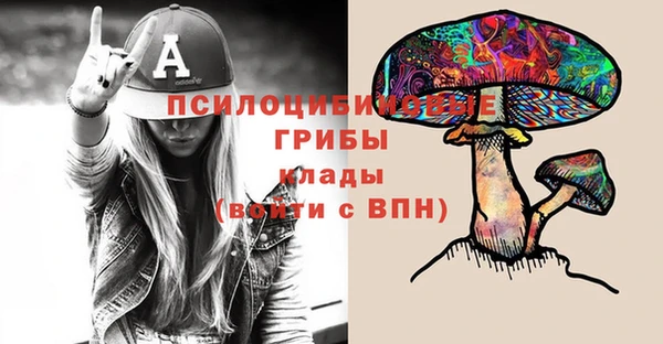 Альфа ПВП Бородино