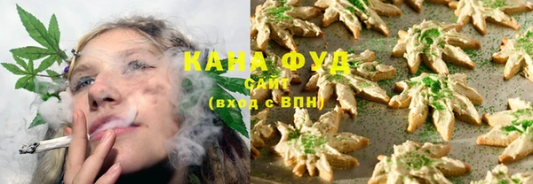 Альфа ПВП Бородино