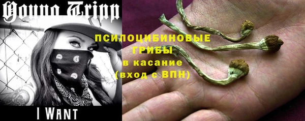 а пвп мука Бугульма