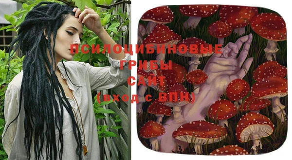 Альфа ПВП Бородино