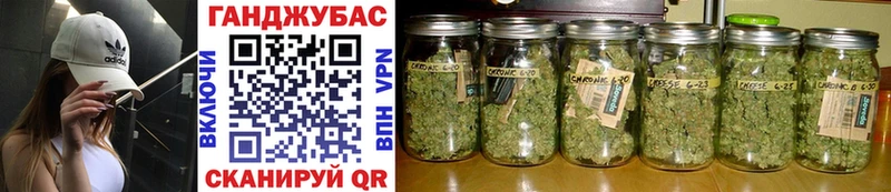 Купить где  Красновишерск  Каннабис SATIVA & INDICA 